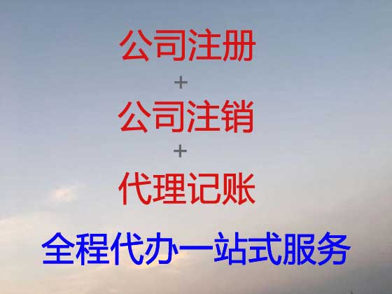 瑞安公司注册代办